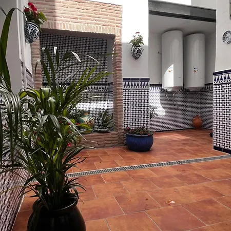 Shanti's Andalusian Malaga
