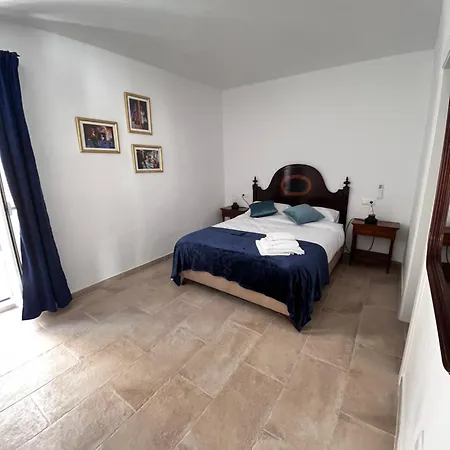 Shanti's Andalusian * Málaga