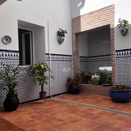Shanti's Andalusian